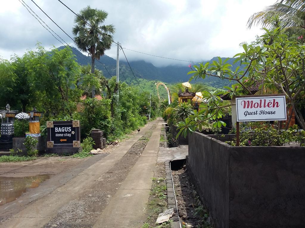 Molleh Guest House Pemuteran  Bagian luar foto