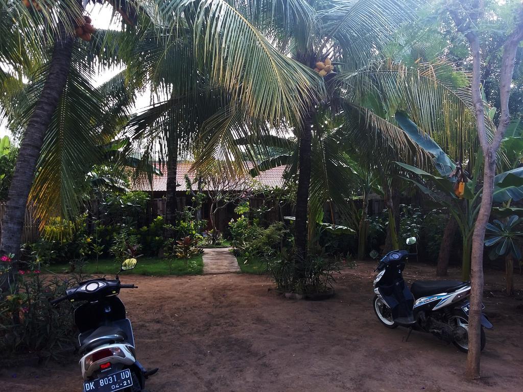 Molleh Guest House Pemuteran  Bagian luar foto